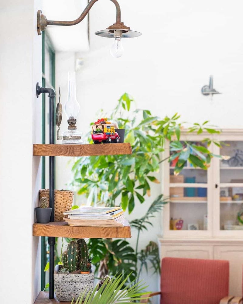 Wooden shelves by the green door frame with a toy truck, cacti, magazines and plants, coral armchairs behind.